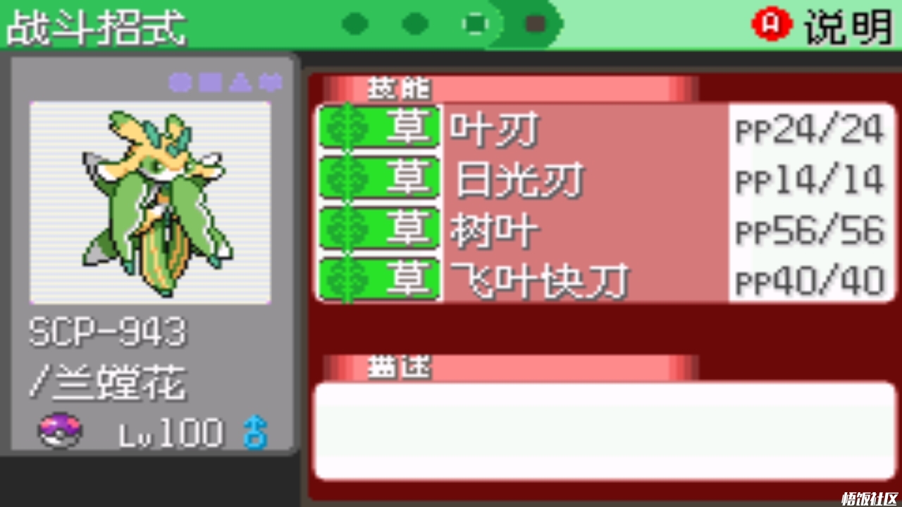 闪光兰螳花?