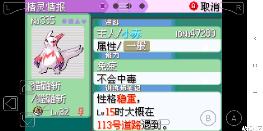 交换中心来的不速之客 悟饭游戏厅